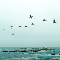 Lakefront - Zen Music Garden