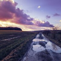 Sleepy Sounds | Delightful Serenity