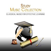 String Quartet No. 8 in E Minor, Op. 59 No. 2: IV. Finale – Presto - Maurycy Rubinstein & Ludwig van Beethoven