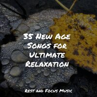 35 New Age Songs for Ultimate Relaxation