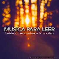Música suave - Fondo de la lectura & Musica para Concentrarse & Música para Leer