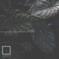 Solace - Ibormeith