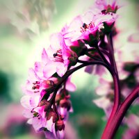 Healthy Body (Well Being) - Yoga Society