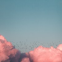 Tranquil Mountain Streams - Ambient Music Therapy & Música Zen Relaxante & Reiki Tribe