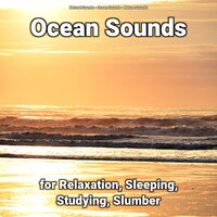 Ocean Sounds for Relaxation, Sleeping, Studying, Slumber