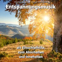 Hintergrundmusik für die Seele - Entspannungsmusik Nicole Kensch & Schlafmusik & Entspannungsmusik