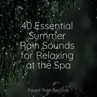 Woodlands, Birds, Wind, Flies - Academia de Meditação Buddha & Rain Sounds Rain & Massage Music