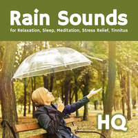 Zazen Meditation - Rain Sounds & Nature Sounds & Rain Sounds by Alan Naake