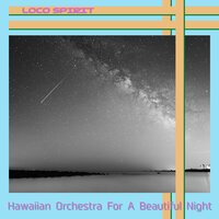 Sapphire Skies over Maui - Loco Spirit