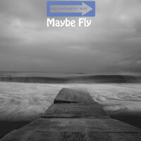 Maybe Fly - Transparent Way