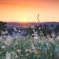 40 Ambient Sounds for Deep Sleep and Vibes