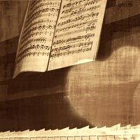 Serenade To Love