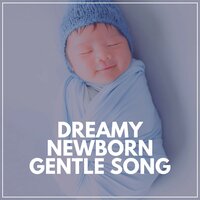 Dreamy Newborn Gentle Song