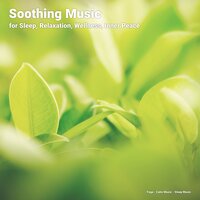 Midnight - Yoga & Calm Music & Sleep Music