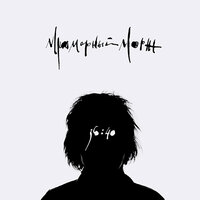 Цунами - Мраморный Морж
