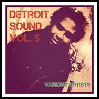 Detroit Sound, Vol. 5