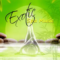 Meditation Music - Spa Music Paradise