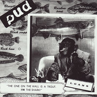 The One On The Wall Is A Trout... I'm The Shark