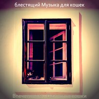 Музыка (Одинокие кошки) - блестящий Музыка для кошек
