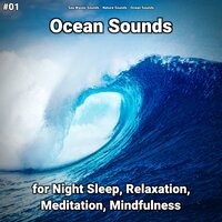 Ocean Sounds Pt. 63 - Sea Waves Sounds & Nature Sounds & Ocean Sounds