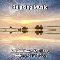Relaxing Music to Calm Down, for Sleep, Studying, Cats & Dogs