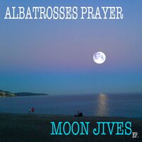 First Contact - Albatrosses Prayer
