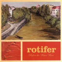 I'll Be in Your Song - Rotifer