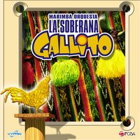 Cumbia Jalapaneca, Marimba de Guatemala - Marimba Orquesta Gallito