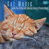 Sunbeams - Music For Cats Peace & Cat Music Dreams & RelaxMyCat