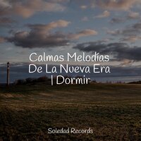 Calmas Melodías De La Nueva Era | Dormir