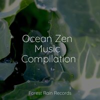 Ocean Zen Music Compilation