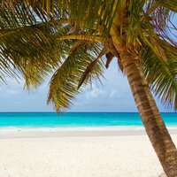 Casi Verano Relajante Mezcla De Música Zen (Repetible)