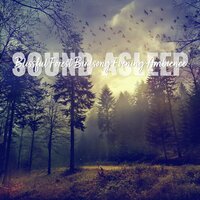 Blissful Forest Birdsong Evening Ambience, Pt. 8 - Elijah Wagner