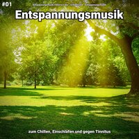 Entspannungsmusik pt. 58 - Entspannungsmusik Viktoria Lobe & Schlafmusik & Entspannungsmusik