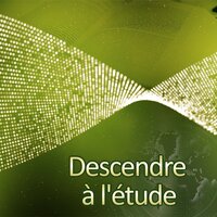 Descendre à l'étude - L'apprentissage est beaucoup plus facile, Meilleure mémorisation, L'expérience d'enseignement, L'auto-étude, Étude indépendante