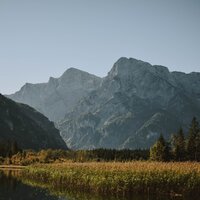 Sonidos Curativos - Piano Relajante & Dormir Mucho & Musica Relajante Specialistas
