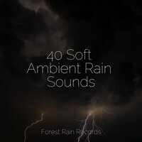 40 Soft Ambient Rain Sounds
