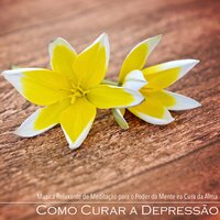 Musica para Curar a Alma - Boa Sorte