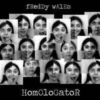 Homologator