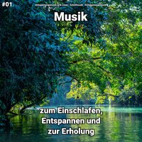 Zarte Klänge mit Liebe - Entspannungsmusik & Schlafmusik & Entspannungsmusik Erik Lisen