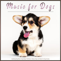 The Best Music for Pets - Sleepy Dogs & Pet Care Club & Dog Music