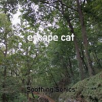 bless lullaby - Soothing Sonics