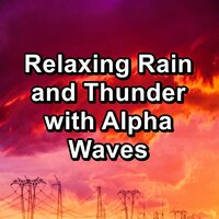 Rain in the Rainy Forest in the Night - Rain Sounds & White Noise & ASMR Rain Sounds & Rain Spa