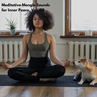 Meditative Mangle Sounds for Inner Peace, Vol. 08