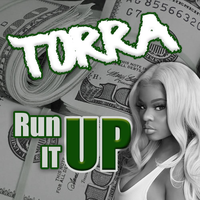 Run It Up - T0rra