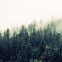 40 Serene Sounds for Calm and Chilling Out