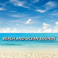 Beach and Ocean Sounds