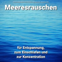 Erholung am Steg - Meeresrauschen Sounds Arno Holmberg & Naturgeräusche & Meeresrauschen