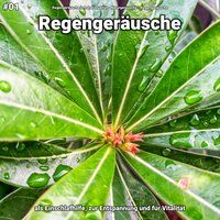 Regengeräusche, pt. 18 - Regengeräusche in hoher Qualität & Naturgeräusche & Regengeräusche