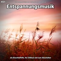 Musik zum Einschlafen - Entspannungsmusik & Schlafmusik & Entspannungsmusik Lilly Hanck